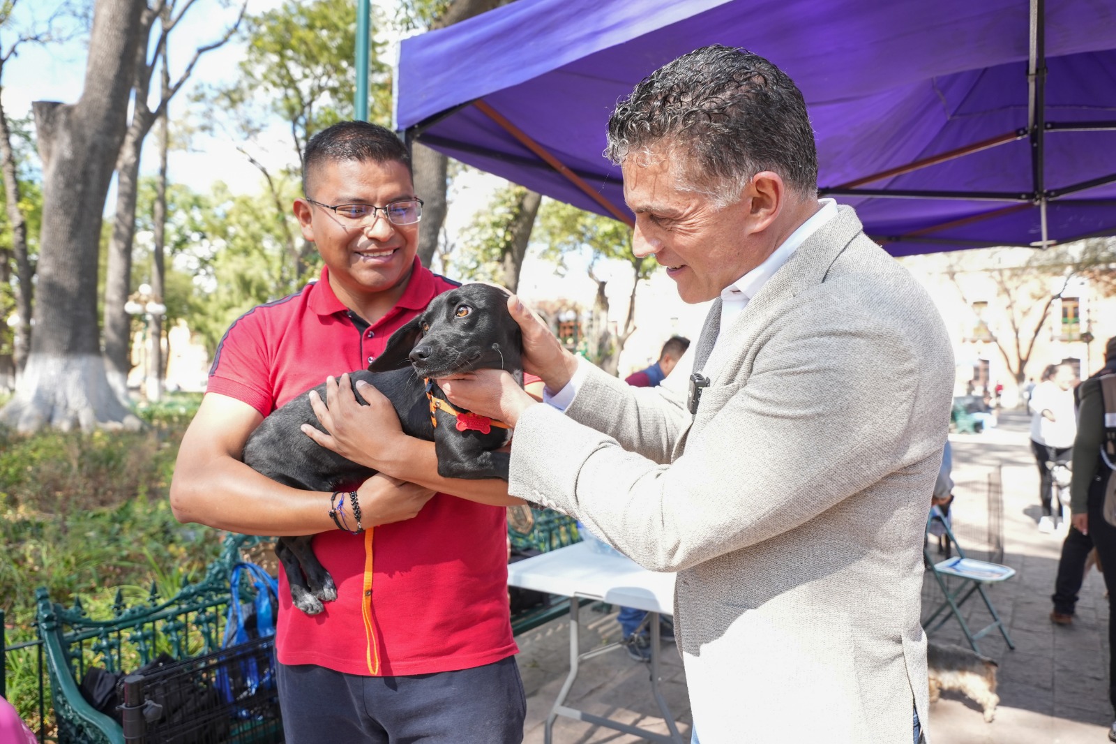 Alcalde Alfonso Sánchez García  fomenta la adopción canina responsable en la capital